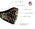 Xelement XS8005 (Multi-Pack) 'Leopard Print' USA Made 100 % Cotton Protective Face Mask